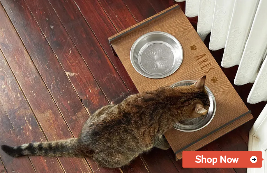 gifts for cat lovers