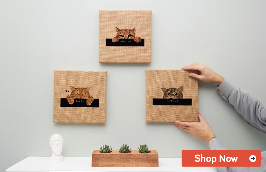 gifts for cat lovers