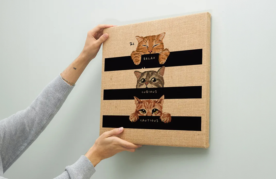 Discover Unique Gifts for Cat Lovers - Thoughtful Ideas for Every Occasion